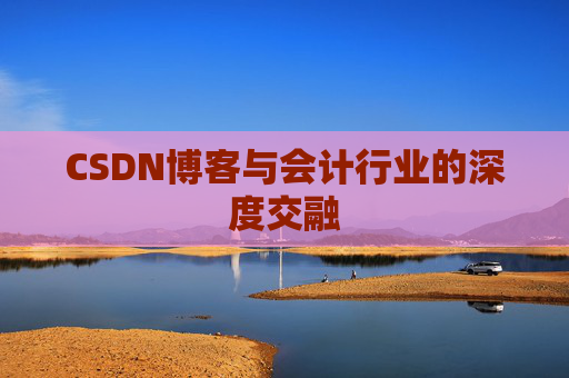 CSDN博客与会计行业的深度交融