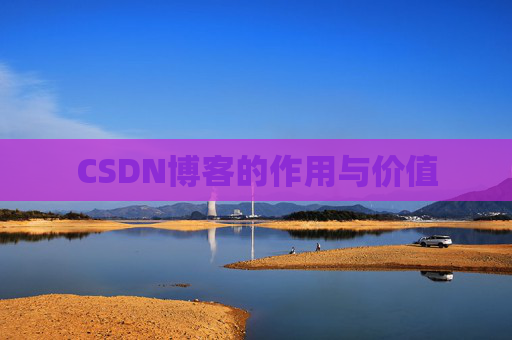 CSDN博客的作用与价值